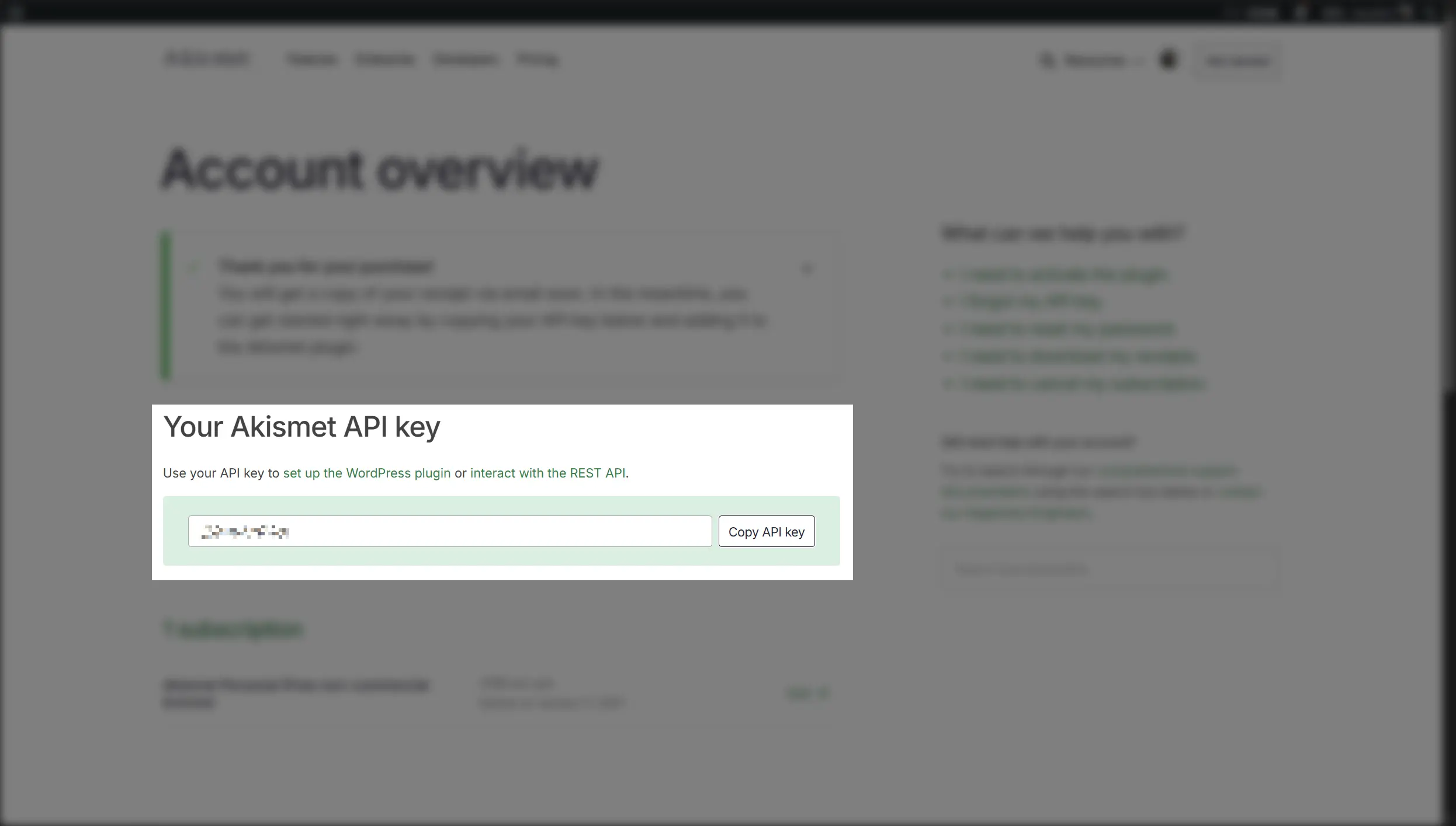 获取 API Key